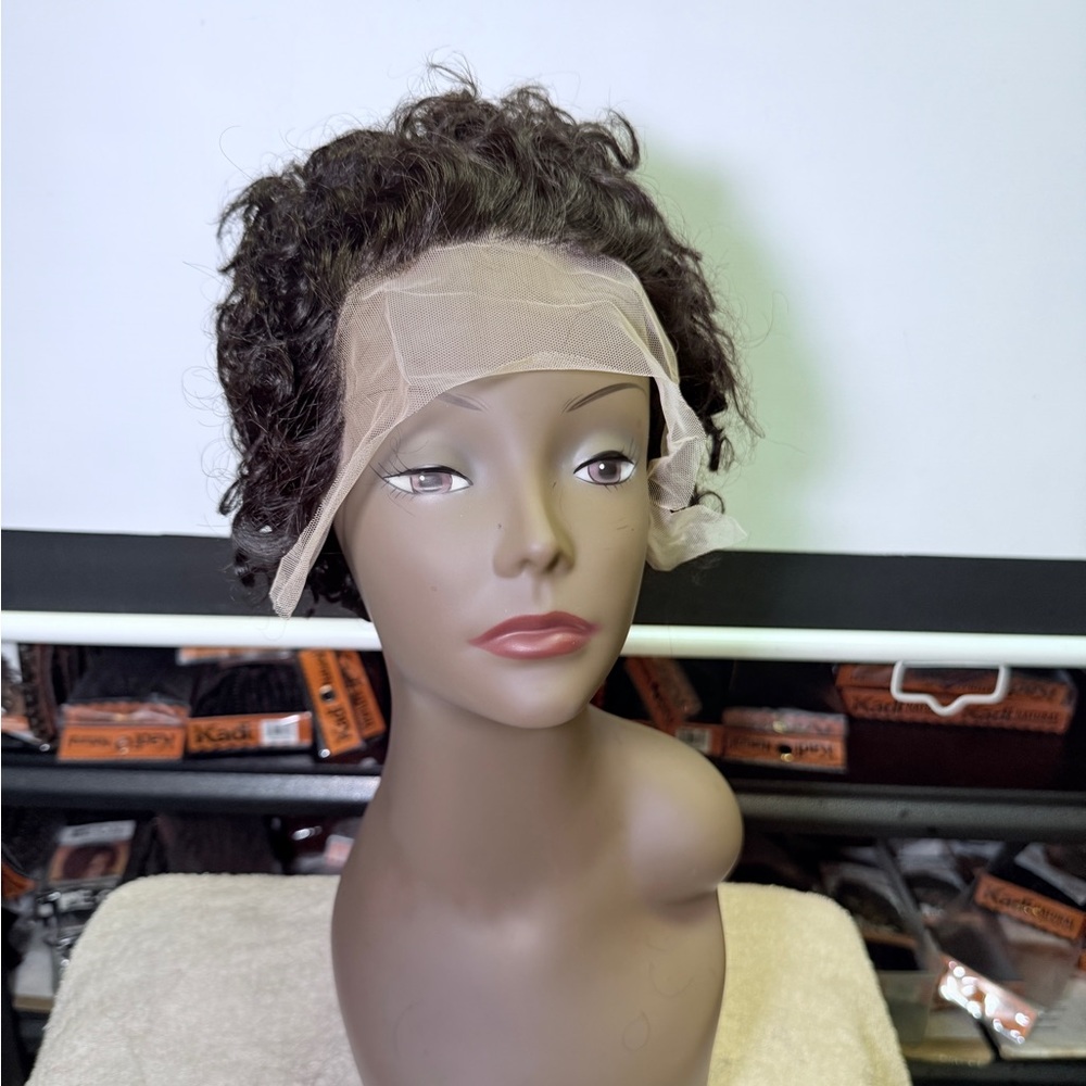 HH Curly Black Lace Front Wig (new)